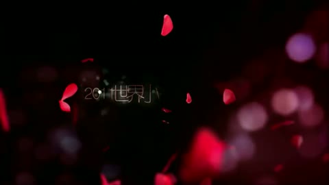 世界小姐中国总决赛-广东卫视宣传片